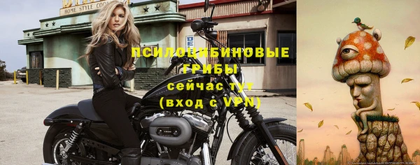 скорость Алзамай