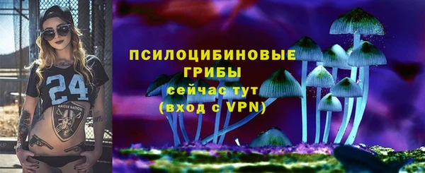 скорость Алзамай